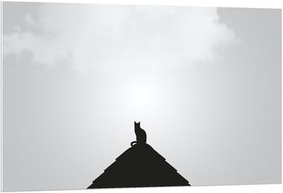 Forex - Silhouette Kat op Piramide - 120x80cm Foto op Forex