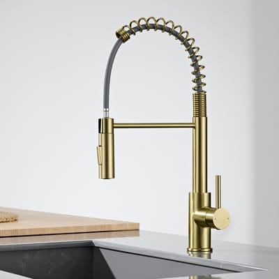 CECIPA max Keukenkraan met Uittrekbare Uitloop - Goud Keukenkraan - Mengkraan Keuken - 2 straalstanden - RVS