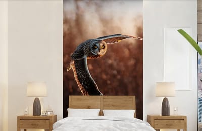 Behang - Fotobehang Vogel - Uil - Zonsondergang - Natuur - Breedte 120 cm x hoogte 240 cm