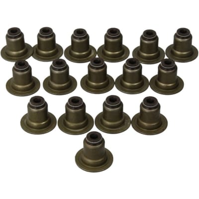 Victor Reinz Pakking, klepsteel REINZ 12-37621-01