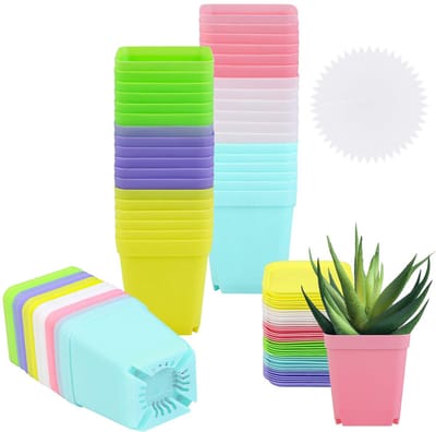 36 stuks 6 cm vierkante planten kwekerij pot multi color plastic plant zaailing potten bloempotten kwekerij transplantatie plantenbak container met schotel voor uw kamer, tuin kantoor en balkon