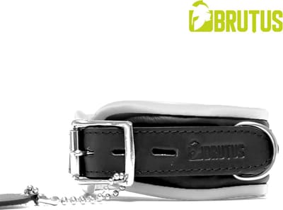 BRUTUS LEATHER - Leren Halsband - Zwart/Wit