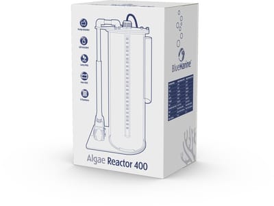 Blue marine Algae Reactor - Opruiming
