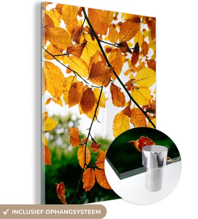 MuchoWow® Glasschilderij 30x40 cm - Schilderij acrylglas - Herfstbladeren - Boom - Landelijk - Foto op glas - Schilderijen