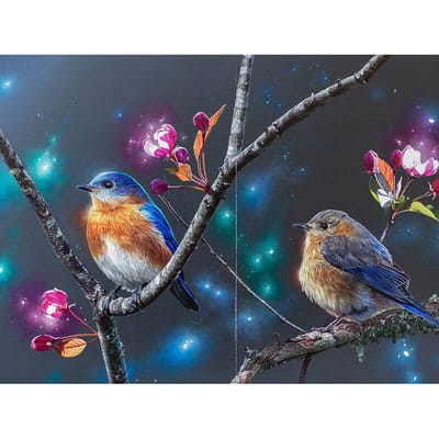 Diamant schilderij kruissteek schattige vogels diamant borduurwerk mozaïek decoratie 20X30CM gray