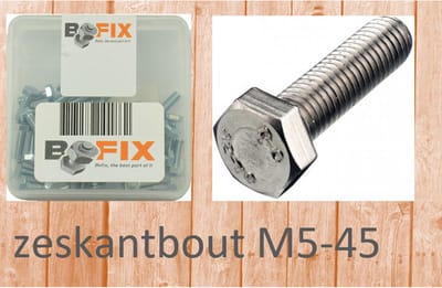Bofix Zeskant Bout M5 X 45 Mm Verzinkt 25 Stuks (217545)