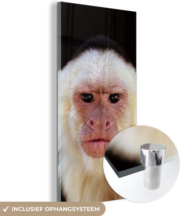 MuchoWow® Glasschilderij 20x40 cm - Schilderij acrylglas - Aap - Vacht - Zwart - Foto op glas - Schilderijen