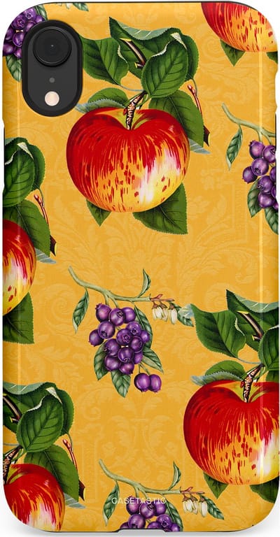 Casetastic Hoesje Geschikt voor Apple iPhone Xr - Stijlvolle Beschermende Duo-layer Case - Picknick