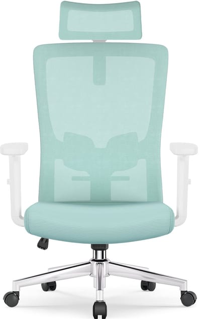 Ergonomische Bureaustoel - Bureaustoel - Bureaustoelen voor Volwassenen - met Verstelbare Hoofdsteun, Armleuningen en Lendensteun - 150 Kg - Blauwgroen