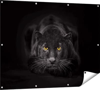 Gards Tuinposter Zwarte Panter met Oranje Ogen - 120x90 cm - Tuindoek - Tuindecoratie - Wanddecoratie buiten - Tuinschilderij