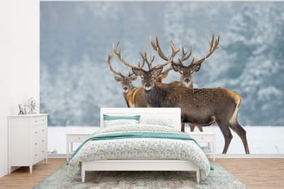 Behang - Fotobehang Hert - Dieren - Sneeuw - Winter - Landschap - Natuur - Breedte 375 cm x hoogte 280 cm