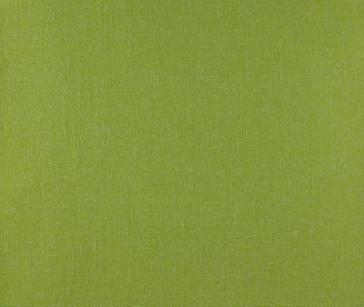Dutch Wallcoverings - Schuimvinyl uni limegroen - 7172-3