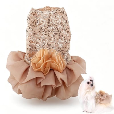 Dailygoods - Hondenjurk met Lovertjes en Bubble Rok voor Puppy en Kat - Gouden XL