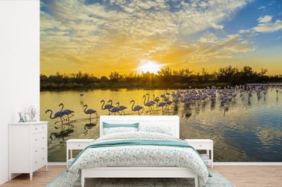 Behang - Fotobehang Flamingo's in Camargue tijdens de zonsondergang - Breedte 360 cm x hoogte 240 cm