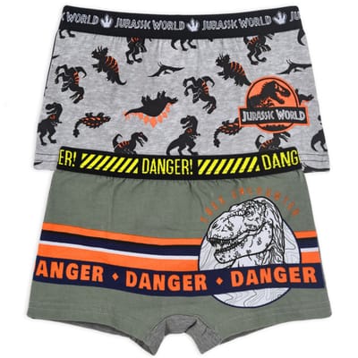 Jurassic World kids boxer briefs 2 pieces/pack 4/5 years