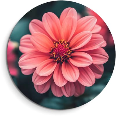KitchenArt - Sunset Dahlia – Muurcirkel Binnen - ø 40 cm - Wandcirkel - Mét Ophangsysteem - Wanddecoratie - Muurdecoratie