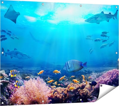 Gards Tuinposter Vissen met Haaien in de Oceaan met Koraalrif - 120x90 cm - Tuindoek - Tuindecoratie - Wanddecoratie buiten - Tuinschilderij