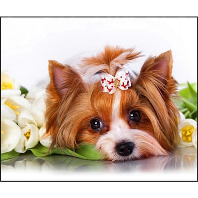 DIY 5D Diamond Schilderen Cross Stitch hond Mozaïek Diamant Borduren Handwerken 20X30CM brown