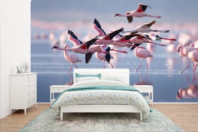 Behang - Fotobehang Flamingo - Vogel - Water - Roze - Breedte 400 cm x hoogte 240 cm