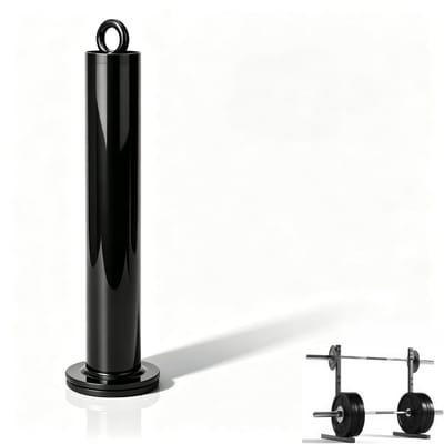 Dailygoods- Laadpen Roestvrij Staal 20x220mm - Halterhouder - Ondersteuning - Fitnessapparatuur - Gewichtsplaat - Perfect Accessoire - Gewichthefpen