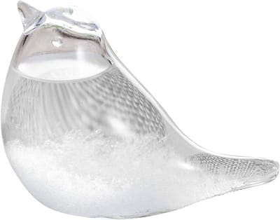 Stormglas Weersvoorspeller - Kristallen Fles Barometer - Weer Voorspellen - Unieke Vogelvorm - 67 x 42 x 55 cm - Transparant