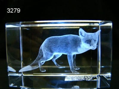 3D Lasergravure Vos in Glasblokje – 5 x 5 x 8 cm – Inclusief Geschenkverpakking
