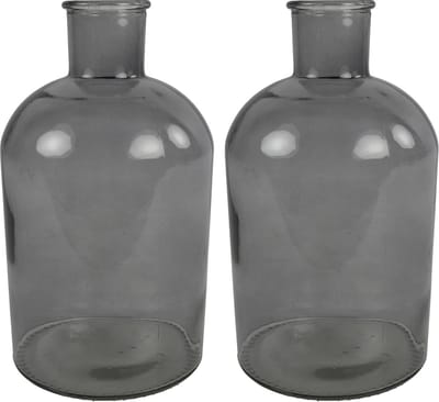Countryfield bloemen/takken Vaas - 2x stuks - grijs glas - fles - D17 x H31 cm
