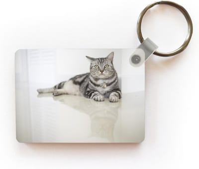 Sleutelhanger - Kat - Grijs - Dier - Meisjes - Kinderen - Jongens - Kind - Uitdeelcadeautjes - Plastic