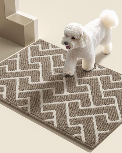 Famanu Deurmatten voor Binnen, 50x80cm, Antislip Achterkant,Vuilvangmat,Absorberende Antislip Deurmat voor Ingang, Binnen, Keuken, Voordeur, Huisdieren en Tuin (Beige)