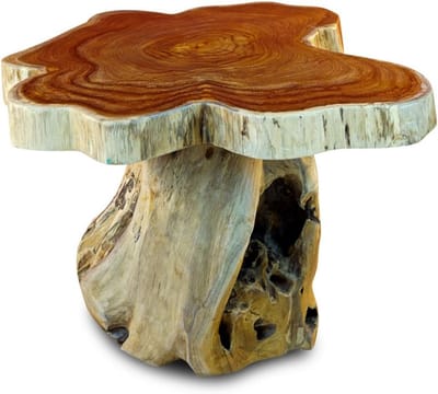 Houten bijzettafel - Wortelhout salontafel - Sfeervol interieur - Uniek handwerk - Ø 60 cm - Naturel