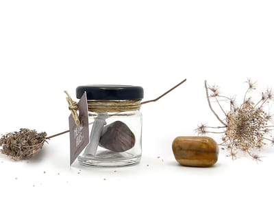 Potje voor je nieuwe huis - Versteend Hout | edelsteen cadeau voor bescherming, geborgenheid & positiviteit