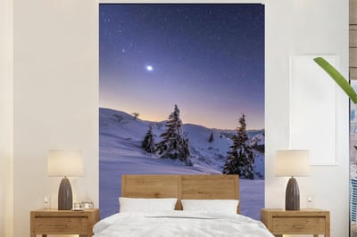 Behang - Fotobehang Winter - Sneeuw - Nacht - Bomen - Breedte 160 cm x hoogte 240 cm
