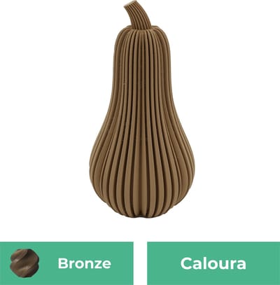 Caloura pompoen beeld – Decoratief beeld - Brons - 3d geprint beeld – Herfst woondecoratie - :positie: - 11CM