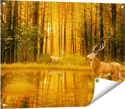 Gards Tuinposter Twee Herten in het Bos bij het Water - 80x60 cm - Tuindoek - Tuindecoratie - Wanddecoratie buiten - Tuinschilderij