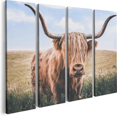 Artaza Canvas Schilderij Vierluik Schotse Hooglander Koe In De Wei - 80x60 - Foto Op Canvas - Canvas Print