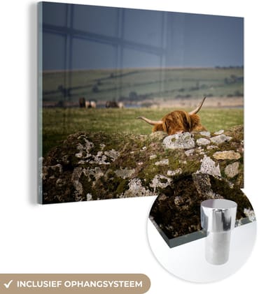 MuchoWow® Glasschilderij 160x120 cm - Schilderij acrylglas - Schotse Hooglander - Stenen - Gras - Foto op glas - Schilderijen