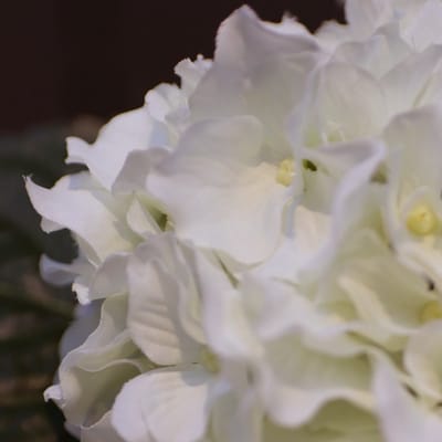 Hortensia kunstplant 40cm creme in pot