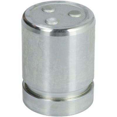 Zuiger, remklauwcilinder AUTOFREN SEINSA D0-25343