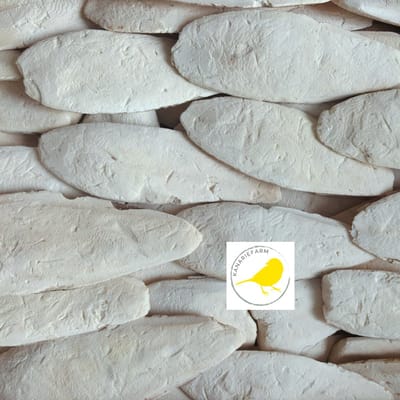 Sepia- Binnenvogels- Sepiaschaal- Sepiaschelp- Sepia- 15-20cm- Doos- 2 kilo