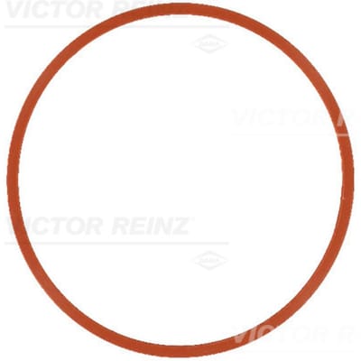 Victor Reinz Pakking, Inlaatspruitstuk REINZ 71-17585-00