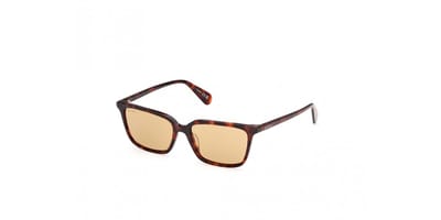 Max &co MO0165 Dark havana 53/16/140 WOMAN Zonnebrillen