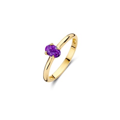 Blush Ring 1242YAM/54 14k Geelgoud met Amethyst Maat 54