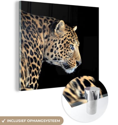 MuchoWow® Glasschilderij 50x50 cm - Schilderij acrylglas - Luipaard - Dieren - Zwart - Foto op glas - Schilderijen