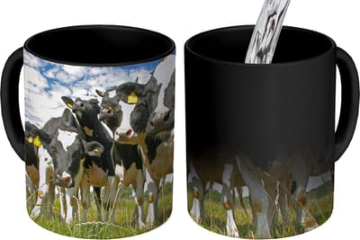 Magische Mok - Foto op Warmte Mokken - Koffiemok - Koeien - Gras - Weiland - Dieren - Magic Mok - Beker - 350 ML - Theemok
