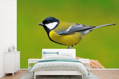 Behang - Fotobehang Vogel - Koolmees - Dieren - Groen - Breedte 525 cm x hoogte 350 cm