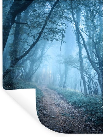 Muurstickers - Sticker Folie - Bomen - Natuur - Mist - 30x40 cm - Plakfolie - Muurstickers Kinderkamer - Zelfklevend Behang - Zelfklevend behangpapier - Stickerfolie