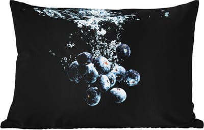 Buitenkussens - Tuin - Blauwe bessen - Fruit - bes - Stilleven - Water - Zwart - 50x30 cm