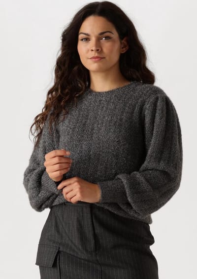 AAIKO Femme Pes 377 Truien & vesten Dames - Sweater - Hoodie - Vest- Grijs - Maat XS