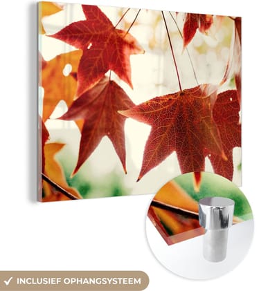 MuchoWow® Glasschilderij 40x30 cm - Schilderij acrylglas - Herfstbladeren - November - Natuur - Bomen - Foto op glas - Schilderijen