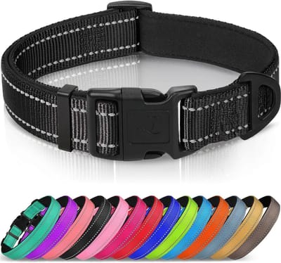 Hondenhalsband met Veiligheidsgesp, Reflecterende Verstelbare Halsbanden met Zachte Neopreen Vulling Huisdier, Veiligheidskraag voor Kleine Honden Huisdieren, M, Zwart